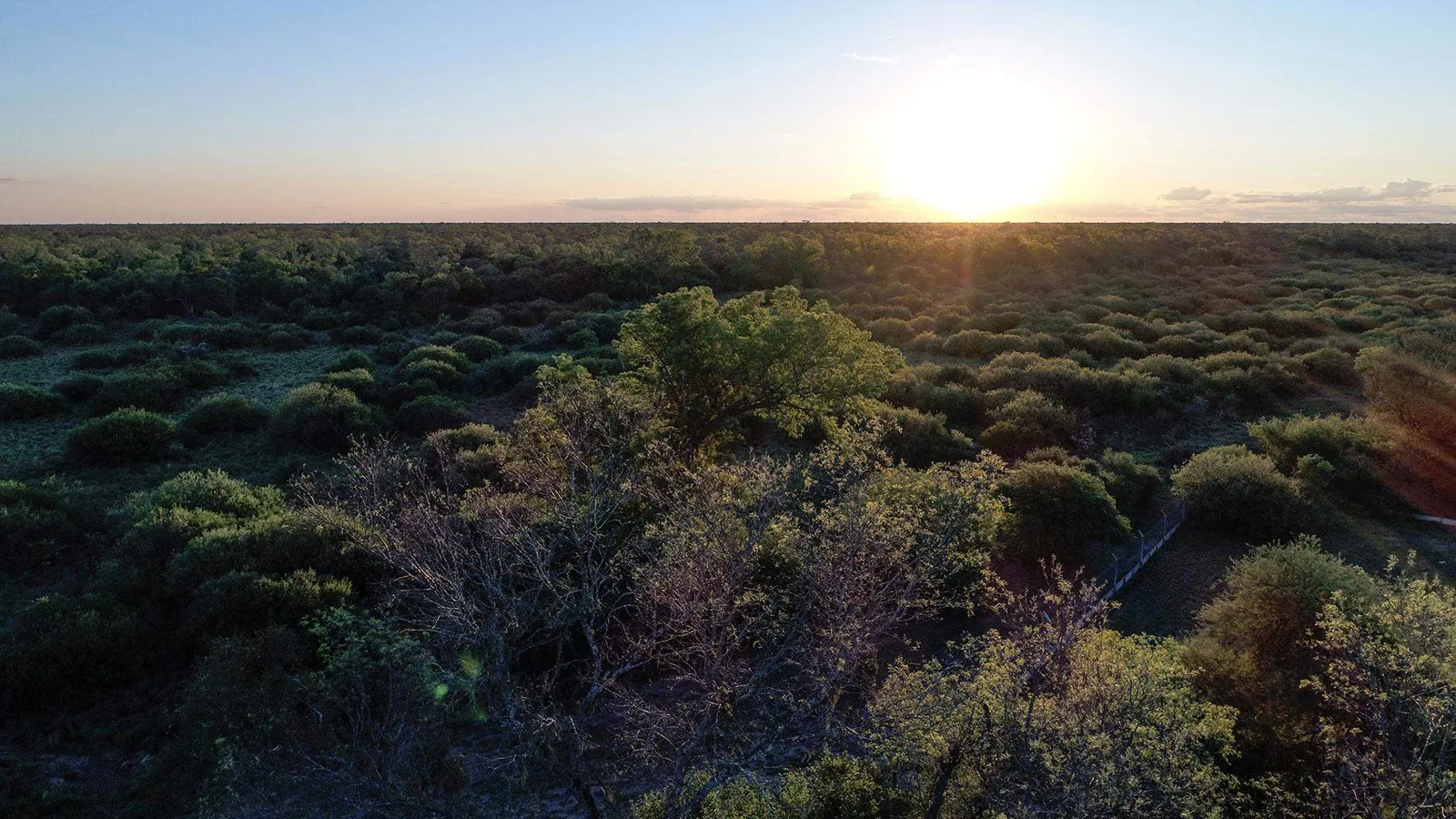 El Romeral — Bosque chaqueño