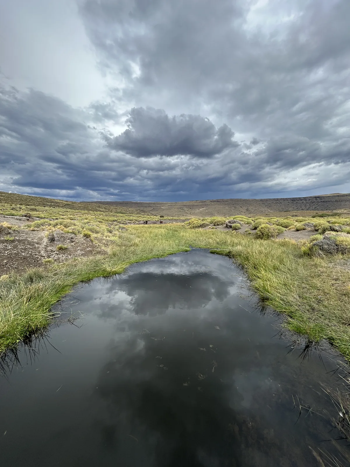 Laguna de agua en un mallín, rodeada de pastizal verde y arbustos bajo un cielo de tormenta