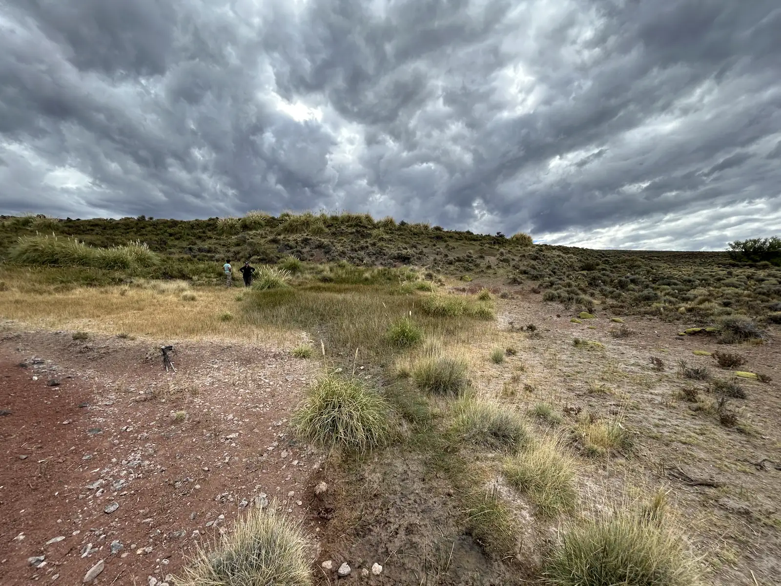 Estepa con matas de coirón y suelo rojizo bajo nubes de tormenta; al fondo, dos personas