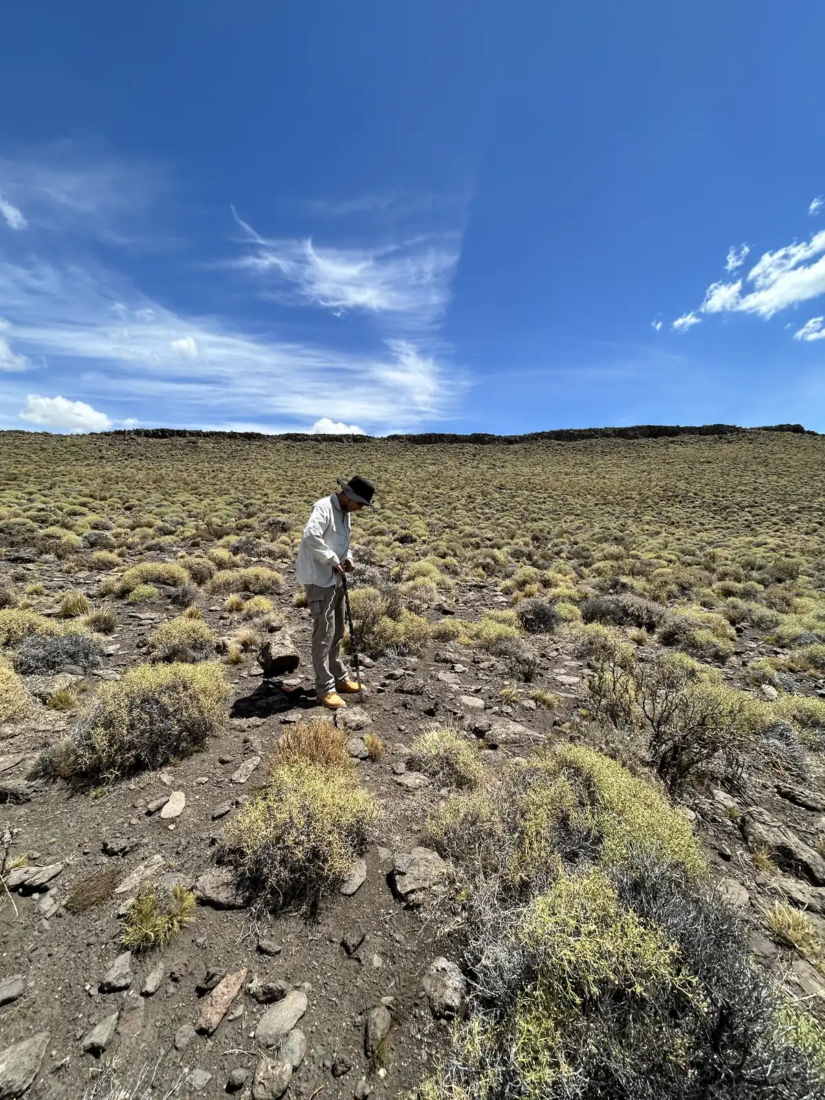 Persona tomando una muestra de suelo con un barreno en una ladera de estepa arbustiva